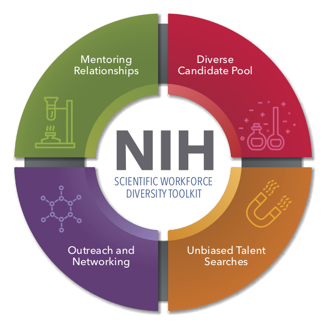 A donut diagram divided into four sections: Diverse Candidate Pool,  Unbiased Talent Searches, Outreach and Networking, and Mentoring Relationships with a title in the center that reads "NIH Scientific Workforce Diversity Toolkit"