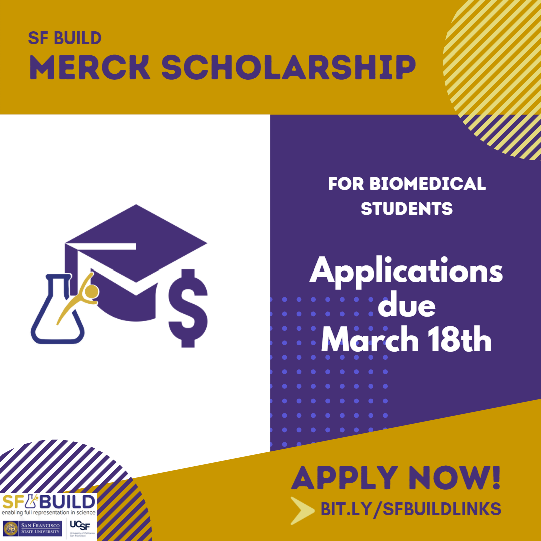 Flyer for the SF BUILD Merck Scholarship