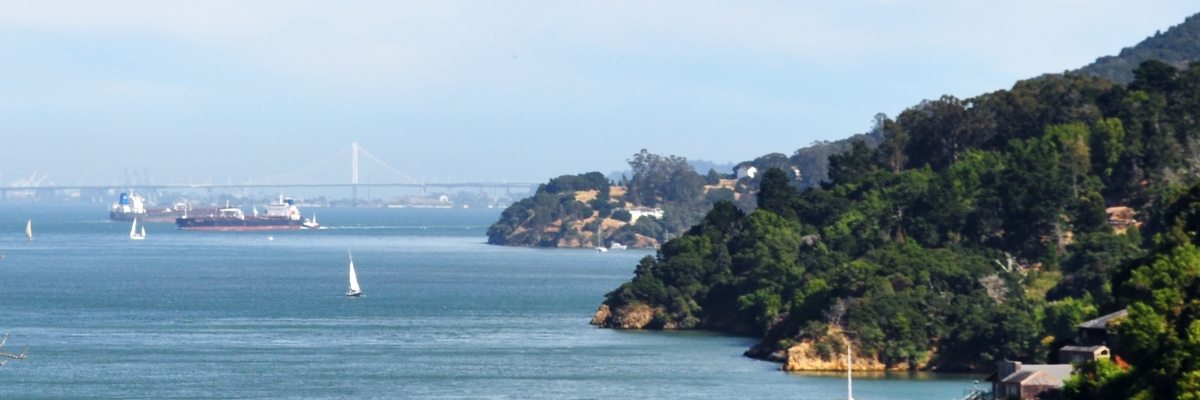 SF Bay