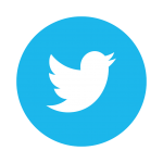 Twitter Icon Button