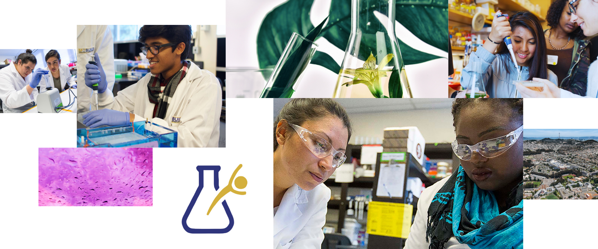 A collage of SF BUILD scholars working in a lab