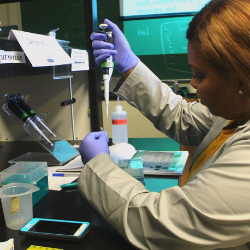 A student holding a pipette to put substance in a test tube.