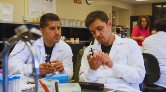 Two male scientist inspecting an apparatus in a lab.